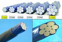 Hệ Tao Cáp Dự Ứng Lực